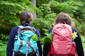 Fastenwandern im Schwarzwald Hotel Silberfelsen
