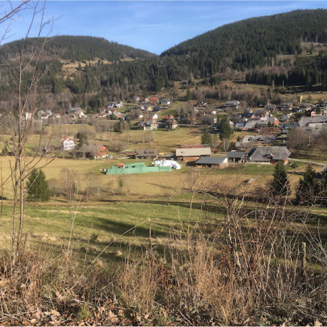 Herbst im Silberfelsen