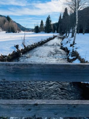 PHOTO-2025-12-16-11-36-37