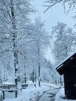 PHOTO-2025-12-16-11-49-02