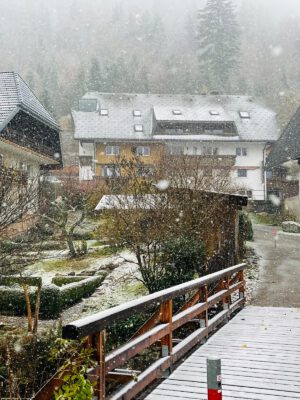 PHOTO-2025-12-16-11-50-47