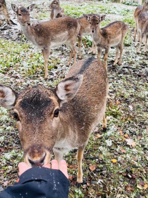 PHOTO-2025-12-16-11-51-07