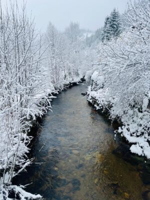 PHOTO-2025-12-16-11-51-44