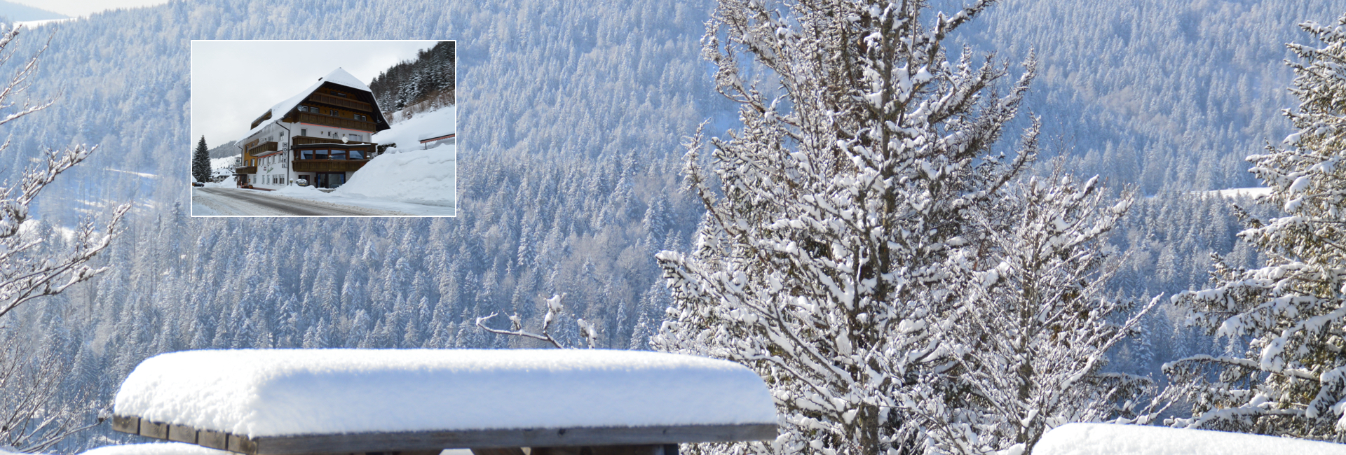 Willkommen im hotel silberfelsen